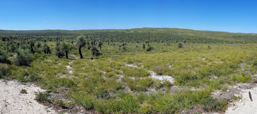 The Pinnacles, Nambung National Park, WA